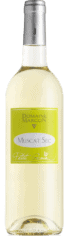 domainemarconmuscatsecvindefranceespacevindesaintchinian