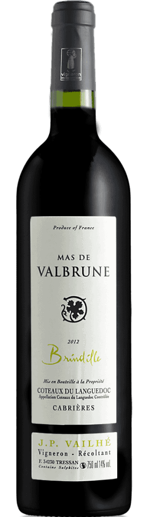 masdevalbrunebrindilleaoccoteauxdulanguedocespacevindesaintchinian