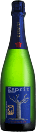 champagnehenrigiraudespritnaturechampagneespacevindesaintchinian