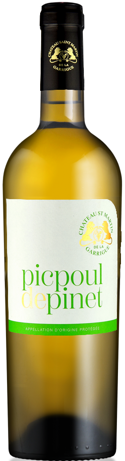 Picpoul St Martin