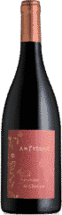Amphyèdre