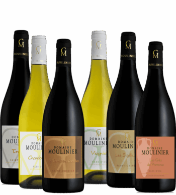 Découverte Domaine Moulinier