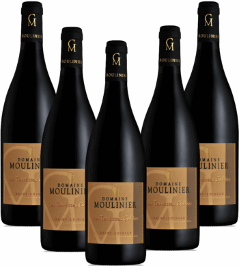 Verticale Terrasses Grillées